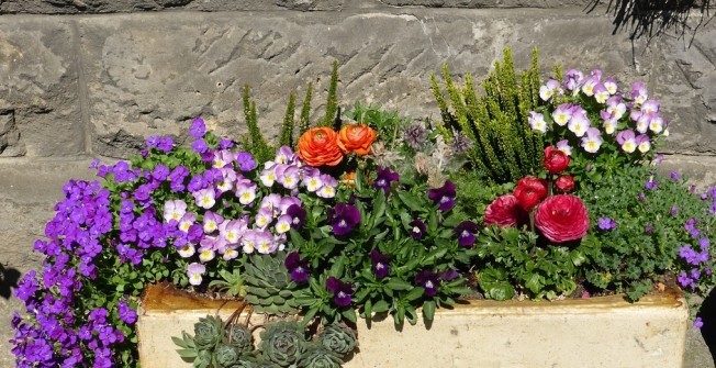 Raised Flower Beds in Llwydarth